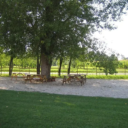 Agriturismo Gallo Nero בית חווה *