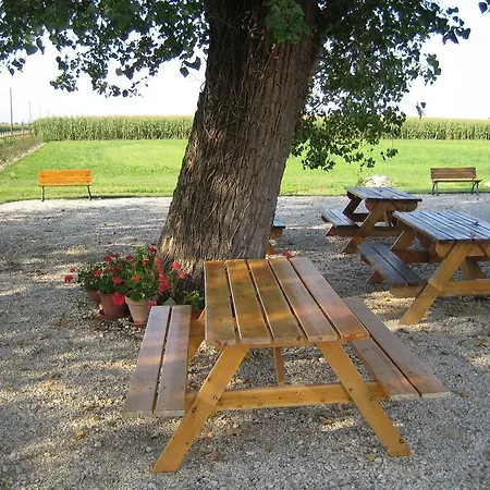 Agriturismo Gallo Nero Grisignano di Zocco